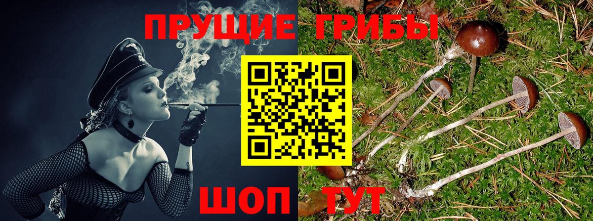 Галлюциногенные грибы MAGIC MUSHROOMS Бутурлиновка