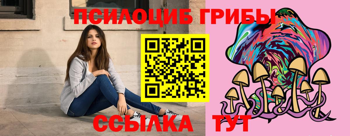 Бутурлиновка  Галлюциногенные грибы Psilocybe  закладки  Вход с VPN 